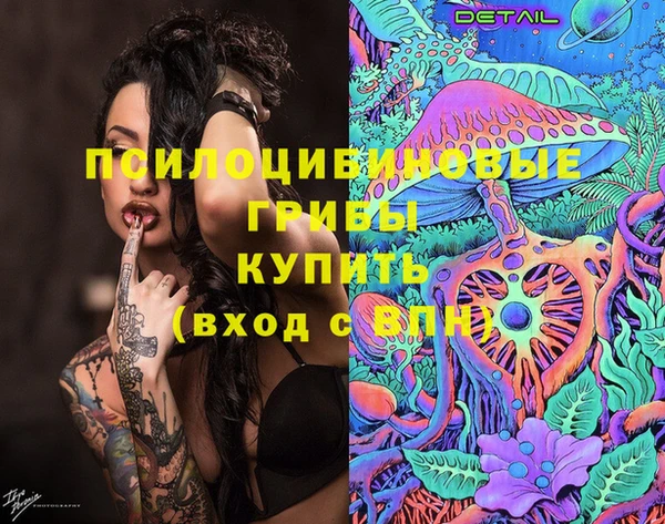 соль ск Алзамай